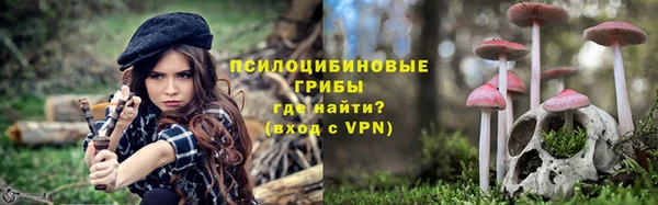 каннабис Арсеньев