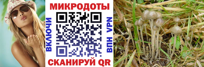 Галлюциногенные грибы мицелий  наркота  Белово 