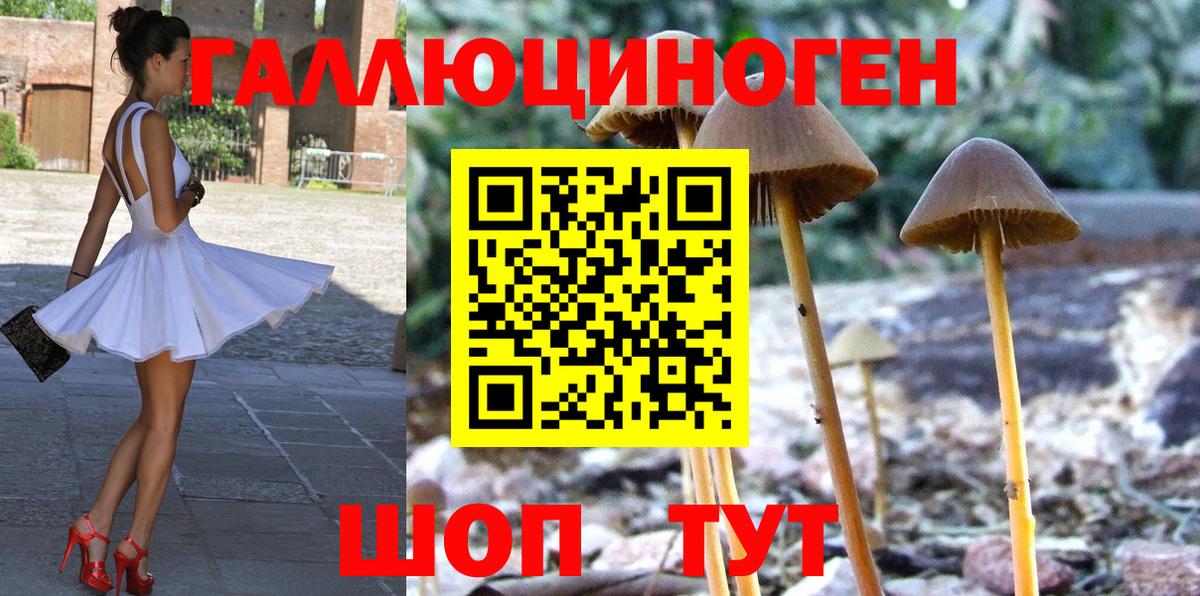 Галлюциногенные грибы Magic Shrooms  Псилоцибиновые грибы MAGIC MUSHROOMS  Белово  Вход с VPN 