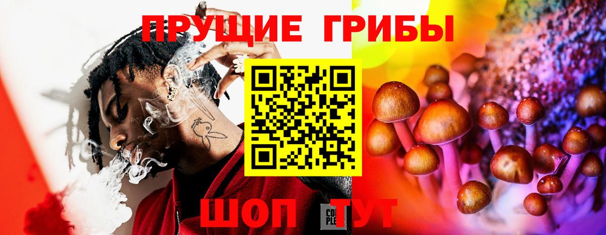 Псилоцибиновые грибы мухоморы Белово